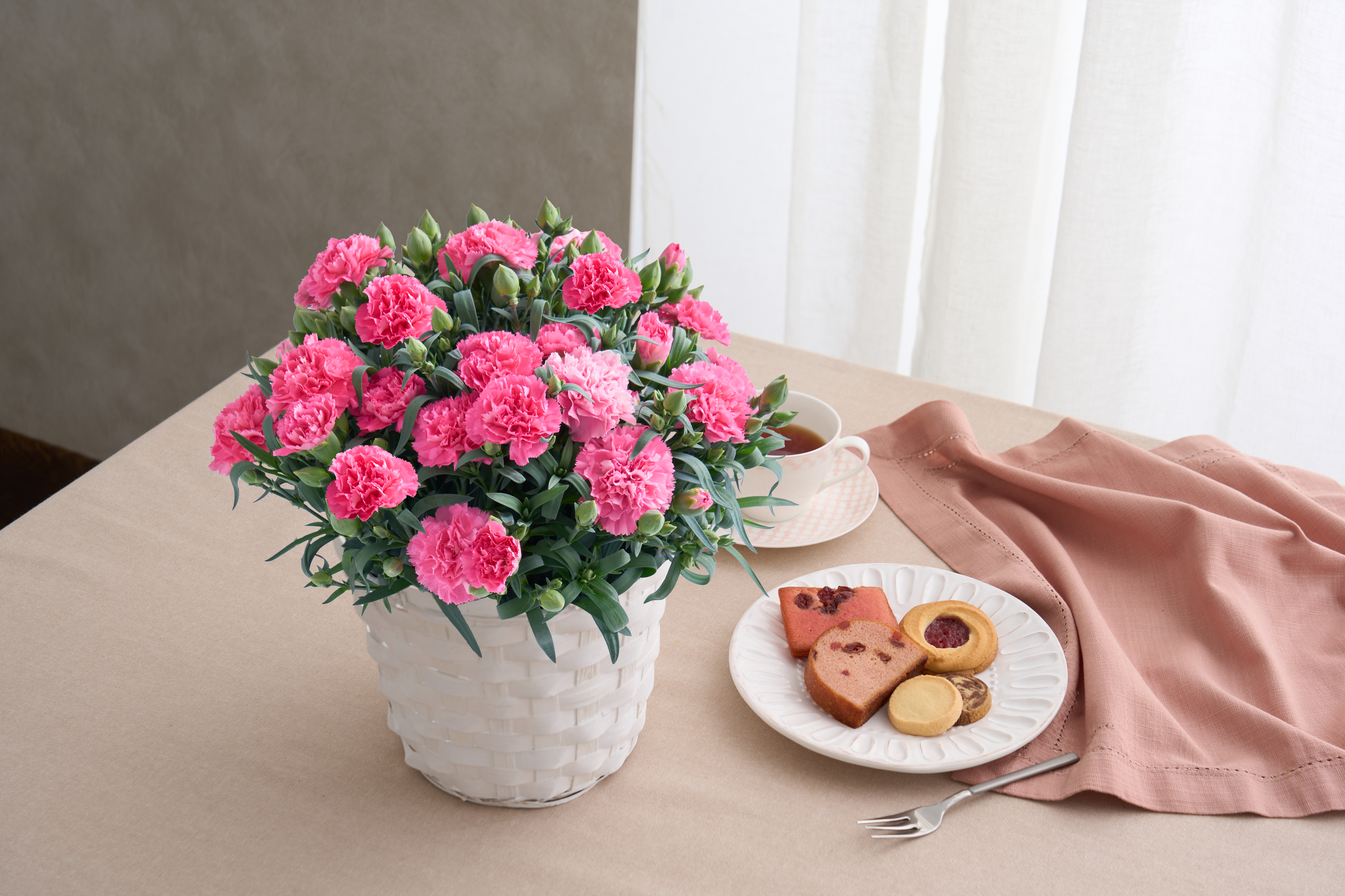 ⑤【母の日】ホシファーム　カーネーション鉢＆焼菓子アソート