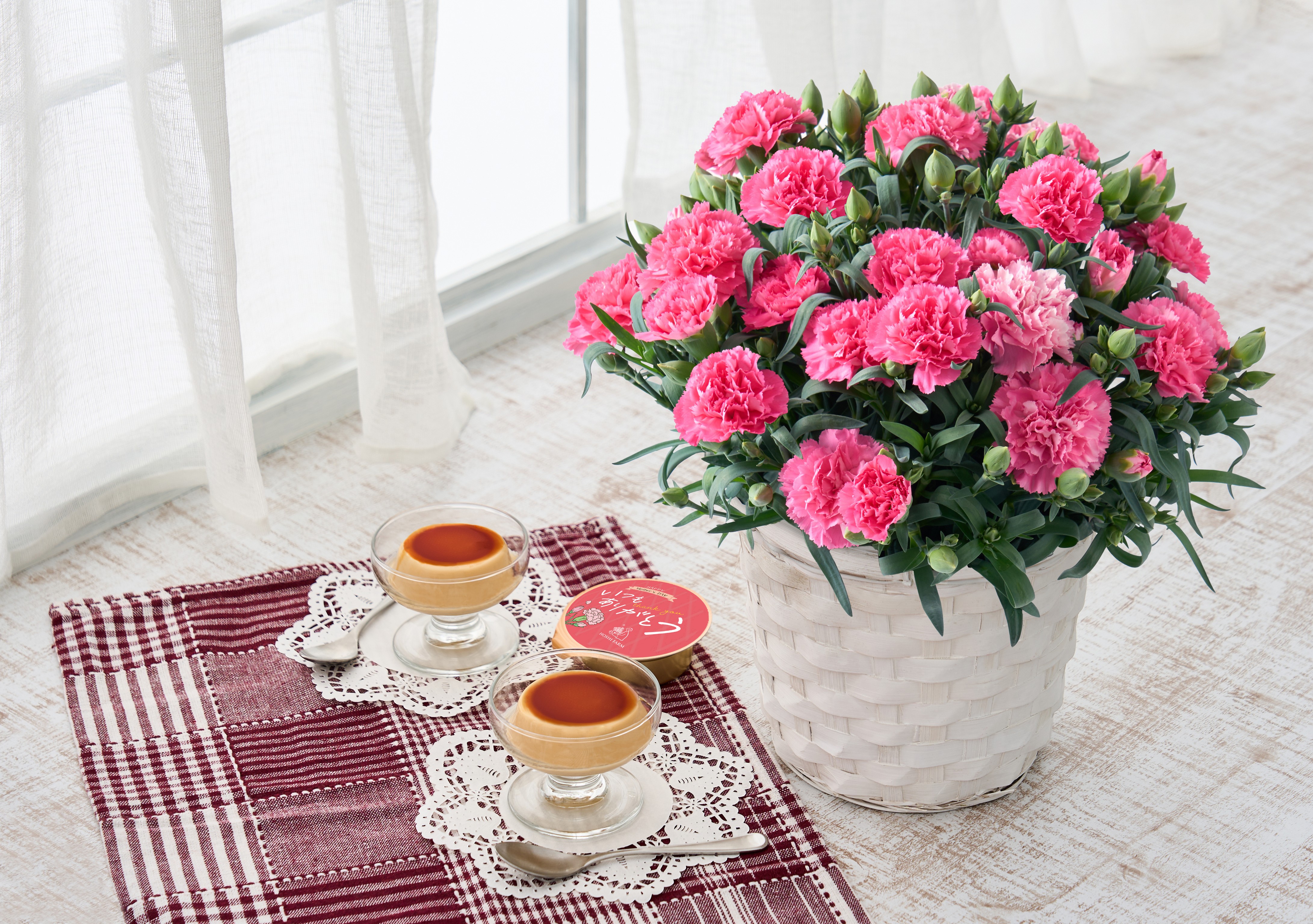 ⑥【母の日】ホシファーム　カーネーション鉢＆たまご村プリン