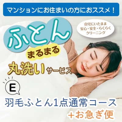 ＜E＞羽毛ふとん1点通常コース+お急ぎ便