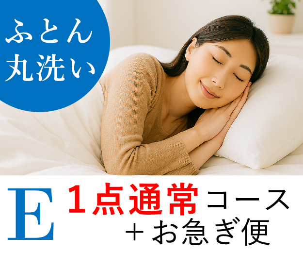 ＜E＞羽毛ふとん1点通常コース+お急ぎ便