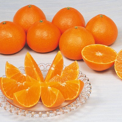 愛媛県産　紅まどんな　秀品（3kg）